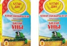 Мукомольное предприятие Шымкента на грани банкротства