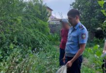 Полиция ликидировала плантацию опийного мака в Туркестанской области