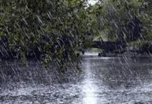 Синоптики предсказали хмурое небо с грозами в Шымкенте