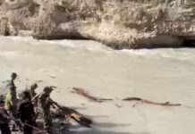 Студентов из Индии не могут найти уже четвертые сутки