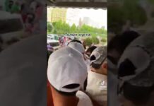 Благотворительный концерт отменили из-за давки в Шымкенте