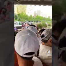 Благотворительный концерт отменили из-за давки в Шымкенте