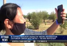 Какие отдаленные села подключат к 4G в Туркестанской области