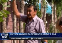 Шымкентский пенсионер превратил улицу в цветущий сад