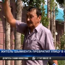 Шымкентский пенсионер превратил улицу в цветущий сад