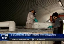 Шымкентские предприниматели продолжают укреплять сотрудничество с Китаем