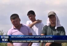 В Туркестанской области крестьяне несут многомилионные потери