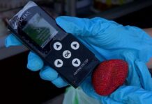 Шымкентцы смогут проверять покупки на нитраты