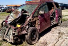 «От машины осталась груда металла». Кто ответит за ДТП с животными на платной трассе?