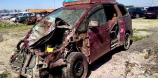 «От машины осталась груда металла». Кто ответит за ДТП с животными на платной трассе?