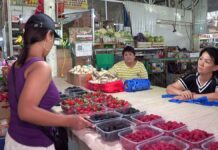 Дорогой сахар. Делать варенье или лучше заморозить?