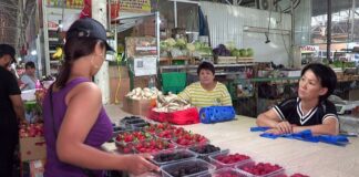 Дорогой сахар. Делать варенье или лучше заморозить?