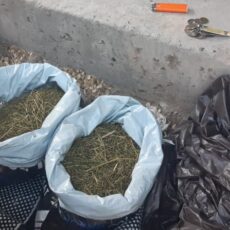 Сбытчиков наркотиков задержали в Шымкенте