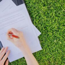 Шымкентцы могут получить сведения о земельных участках через Еgov.kz