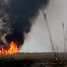 Крупный пожар на Алаколе: сгорели 4 базы отдыха