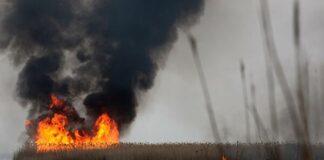 Крупный пожар на Алаколе: сгорели 4 базы отдыха