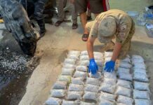 КНБ задержана крупная партия наркотиков