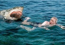 Если не Египет: где отдохнуть безопасно и доступно