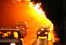 Лето, жара и автомобиль. В ДЧС рассказали о мерах безопасности