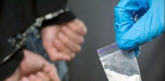 Перевозившего наркотики жителя Туркестанской области задержали в Шымкенте