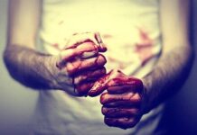 Не поделили дорогу: шымкентцы избили на трассе мужчин