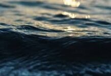 7 детей стали жертвами водной стихии в Туркестанской области