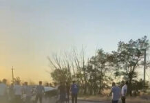 Выбежавшие на дорогу лошади спровоцировали смертельное ДТП в Шымкенте