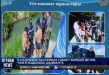 В частных бассейнах Шымкента гибнет больше детей, чем в открытых водоемах