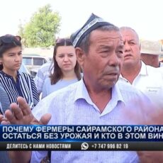 Фермеры Сайрамского района боятся остаться банкротами, их поля засыхают