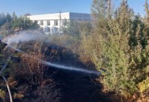 Огромные штрафы ждут поджигателей травы и бытового мусора