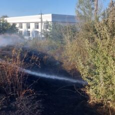Огромные штрафы ждут поджигателей травы и бытового мусора