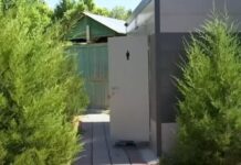 Уличные туалеты по цене пяти квартир установили в дендропарке Шымкента Туалет