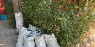 Мусорные войны. Проблема с вывозом мусора обострилась в Шымкенте мусор