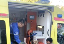 Потерявшую сознание женщину спасли пожарные ДЧС