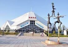 Шымкентские циркачи завоевали золото на международном фестивале «Эхо Азии»