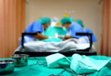 В Шымкенте начался сезон обрезаний