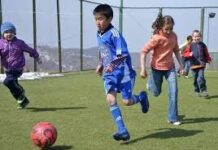 Программа «Артспорт» продолжит работать футбол