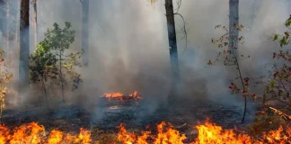 пожар