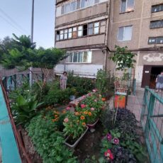 Красоту жизни создают сами