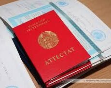 Абитуриентка из Шымкента чуть не лишилась гранта из-за технической ошибки красный аттестат