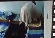 Как будут контролировать работу детских садов