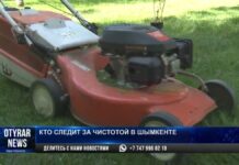 Кто делает жизнь шымкентцев чище