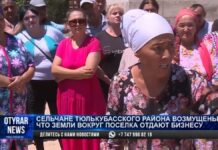 Сельчане Тюлькубасского района возмущены, что земли вокруг поселка раздают под бизнес