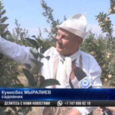 Проект «Серебряный возраст» помогает людям старше 50 лет с трудоустройством