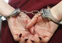 Привезу дешевые айфоны: жительница Тюлькубаса обманула людей на 18 млн тенге