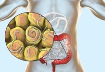 В ДСЭК прокомментировали рассылку о необходимости сдачи анализов на энтеробиоз
