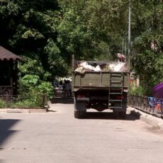 Куда жаловаться на стихийные свалки во дворах Шымкента вывоз мусора