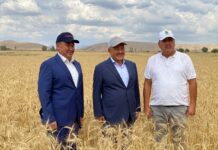 Узбекистан и Таджикистан поделились поливной водой с южным Казахстаном Умирзак Шукеев в поле