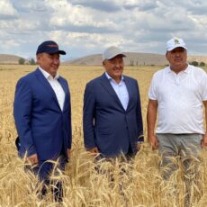 Узбекистан и Таджикистан поделились поливной водой с южным Казахстаном Умирзак Шукеев в поле