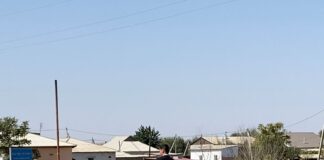 На дорогах Шардары дежурят старшеклассники